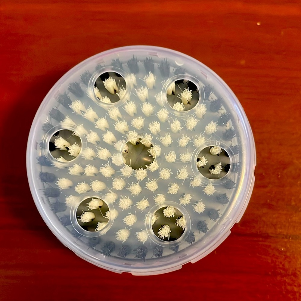Clarisonic Body Brush